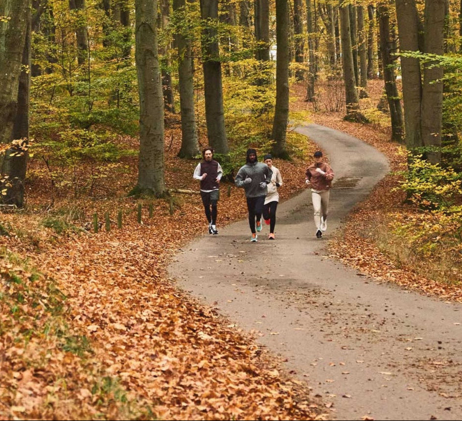 People walking on a path through a forest with autumn foliage